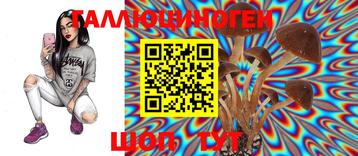 Псилоцибиновые грибы прущие грибы Мариинск