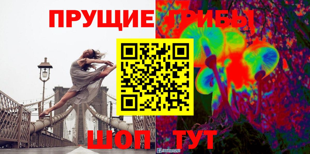 Мариинск  Псилоцибиновые грибы Psilocybe  Вход с VPN 